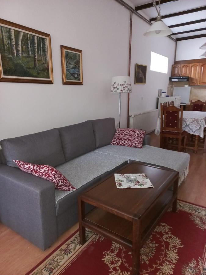 Appartement Gala à Sokobanja Extérieur photo