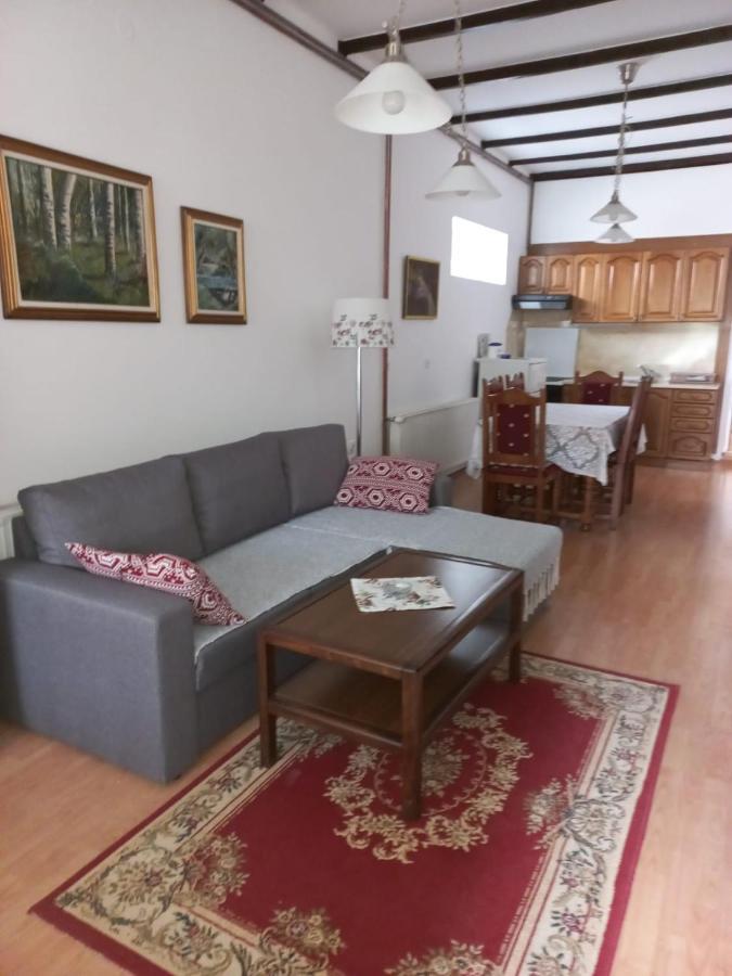 Appartement Gala à Sokobanja Extérieur photo